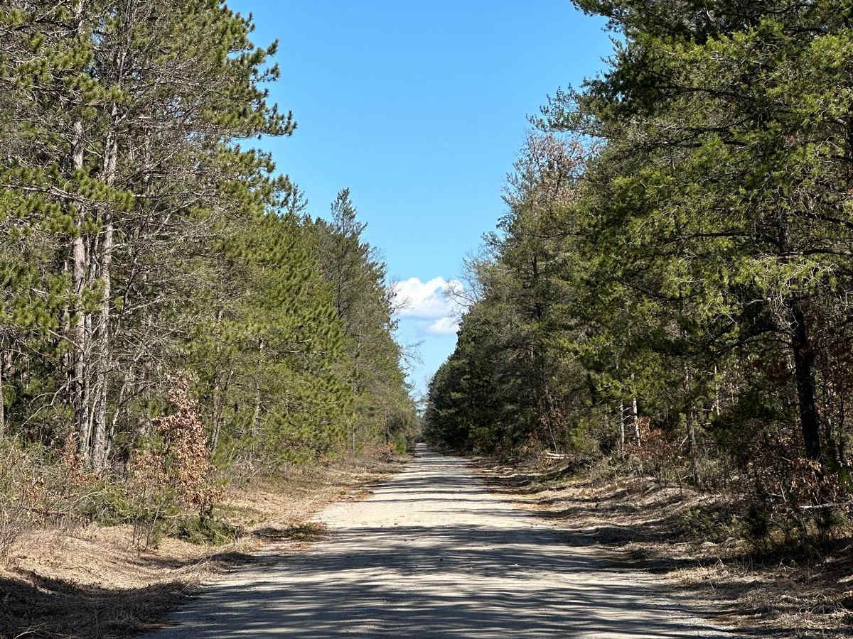 Sand Lake Road - FS 4436 photo 4