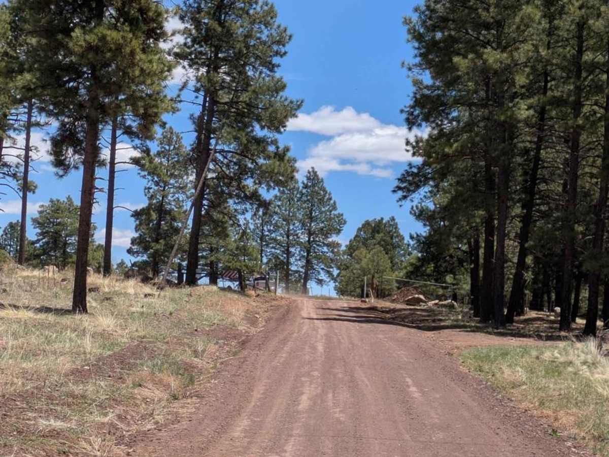 A1 Mountain Road - FS 506 photo 6