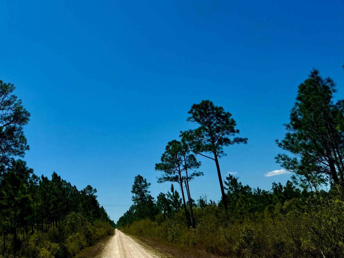 Cut Thru Road photo 3