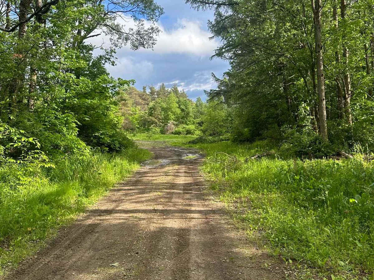 Runner Road (Seasonal) photo 2