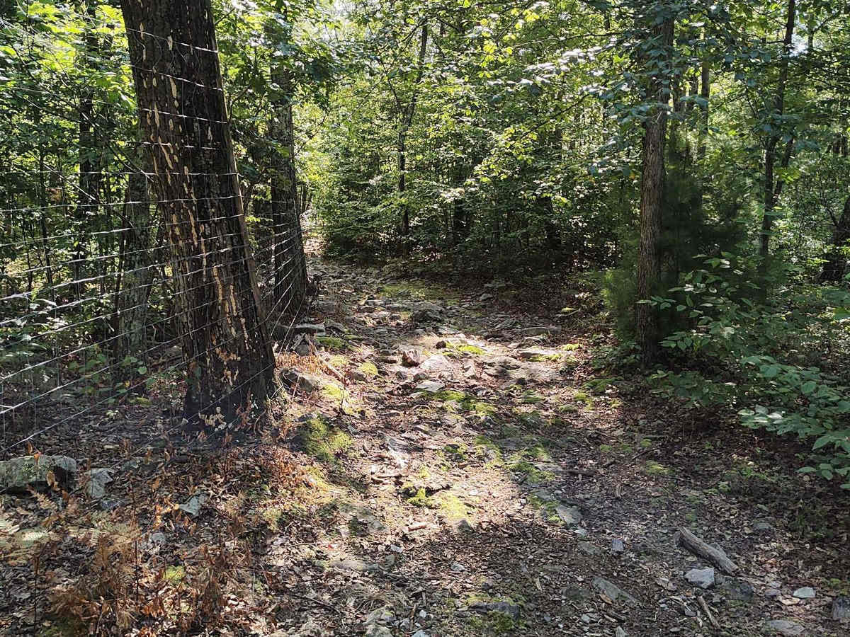 Middle Ridge Trail - Single Track photo 4