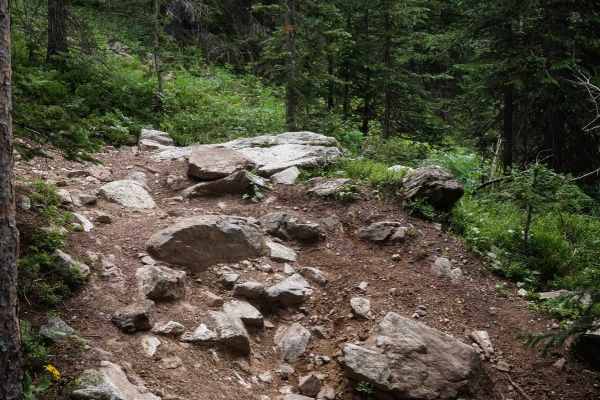 Never Summer Trail 