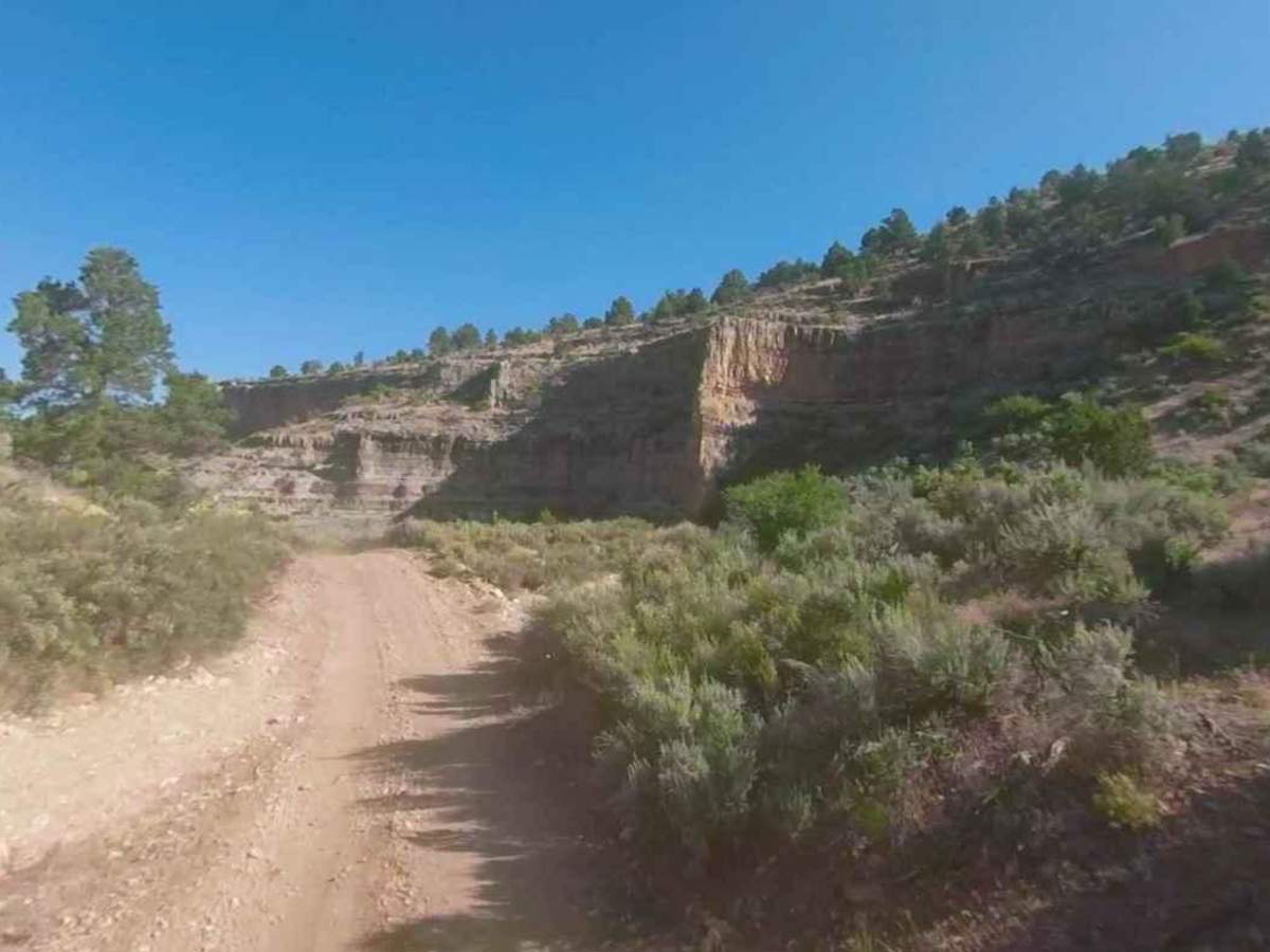 Pigeon Canyon Road-BLM1002 trail photo
