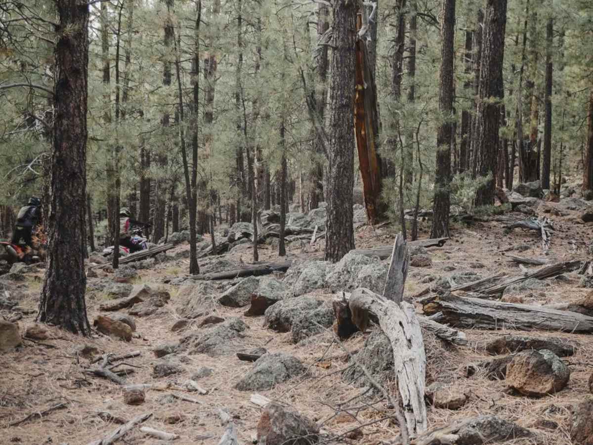 Rocky Moto trail photo