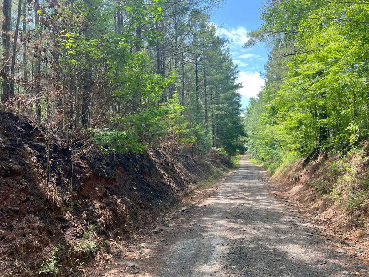 Pike Road trail photo