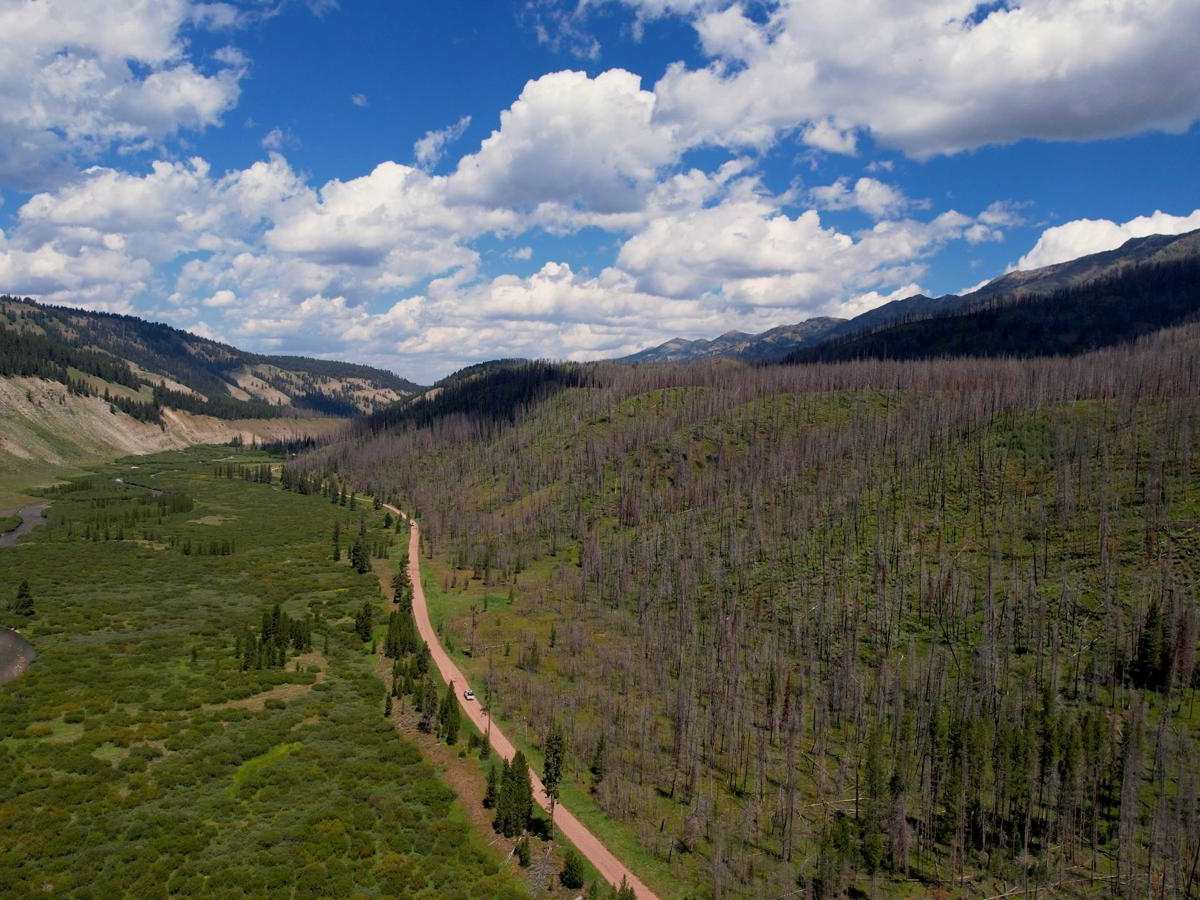 Greys River Road trail photo