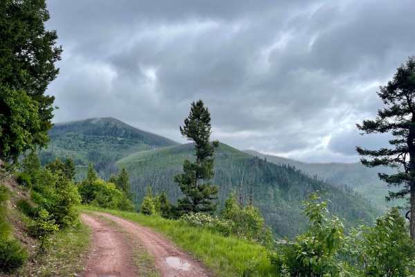 Cottonwood Ridge
