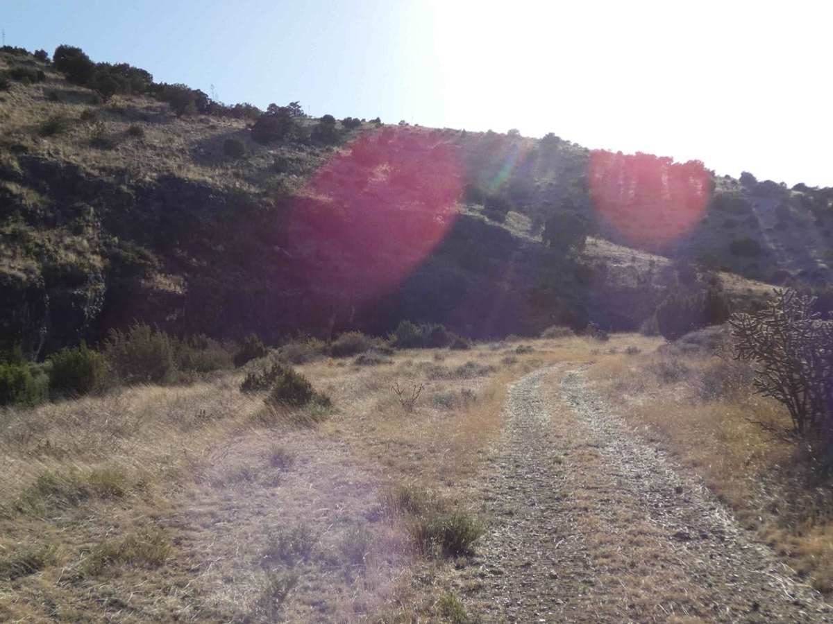 Redwater photo 3