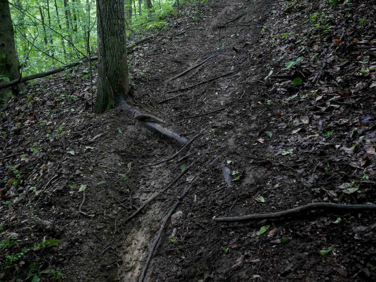 T54 trail photo