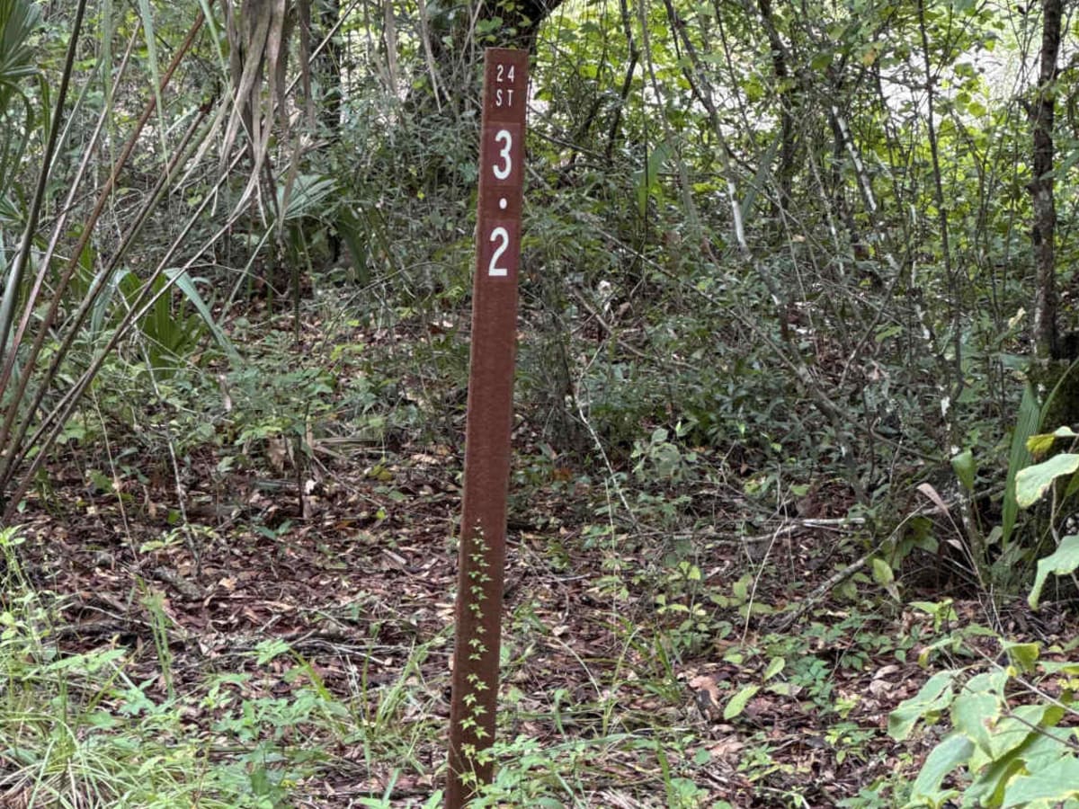 Ocklawaha Trail - ONF SE24ST trail photo