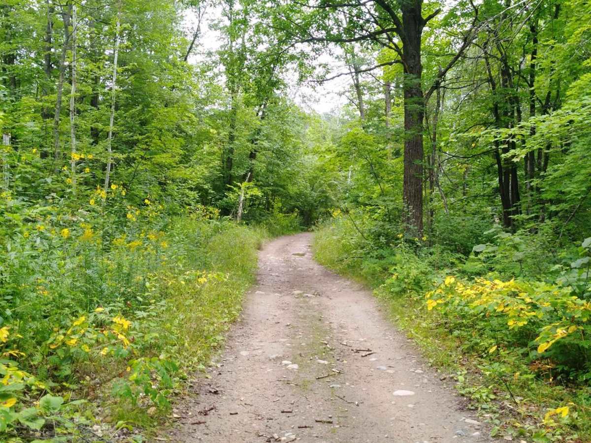 Cedar Lake Loop photo 3