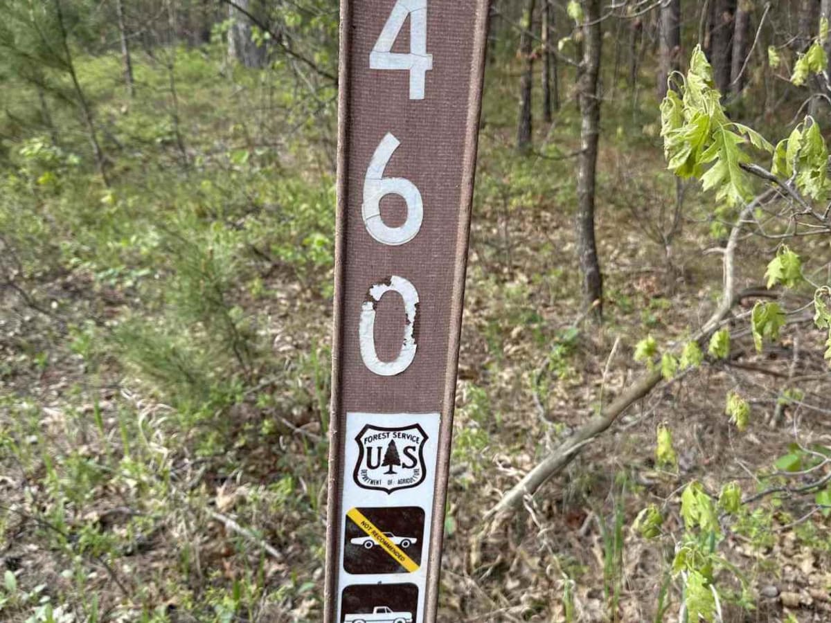 FS 4460 trail photo