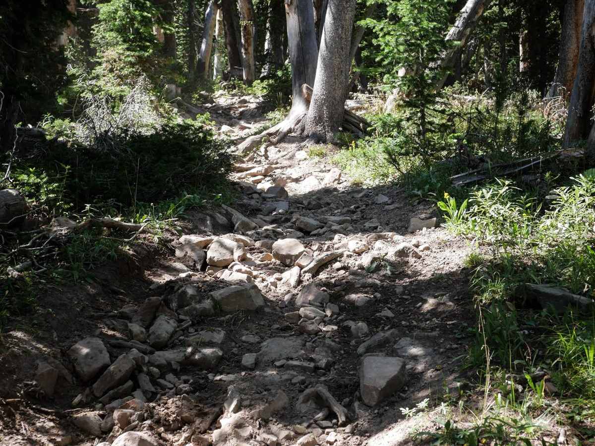 Lizard Lakes photo 2