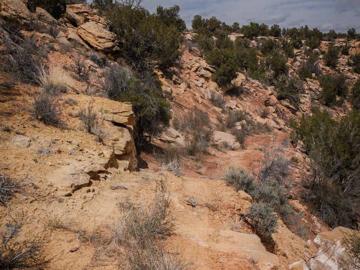 Wild Horse trail photo