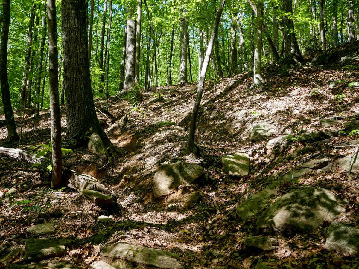 Enduro Trail photo 2