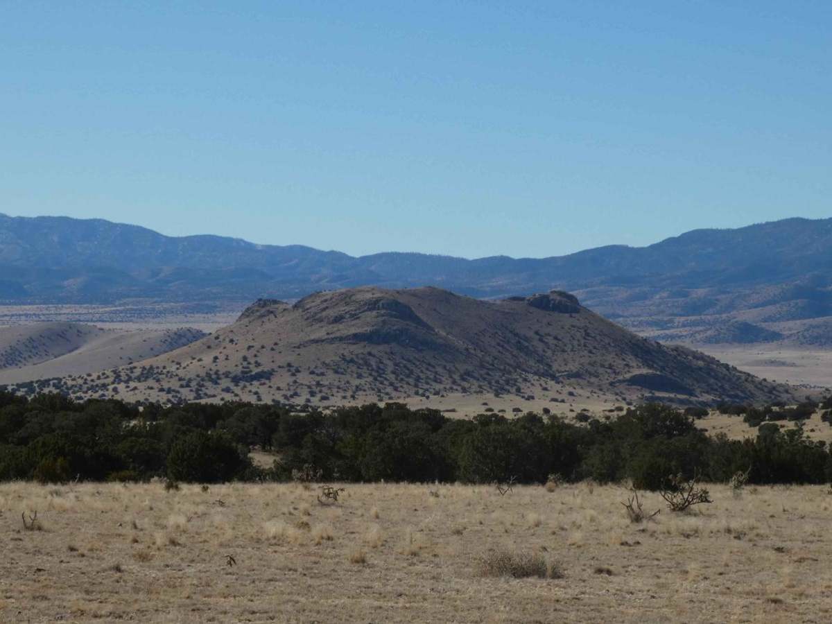 Muleshoe trail photo