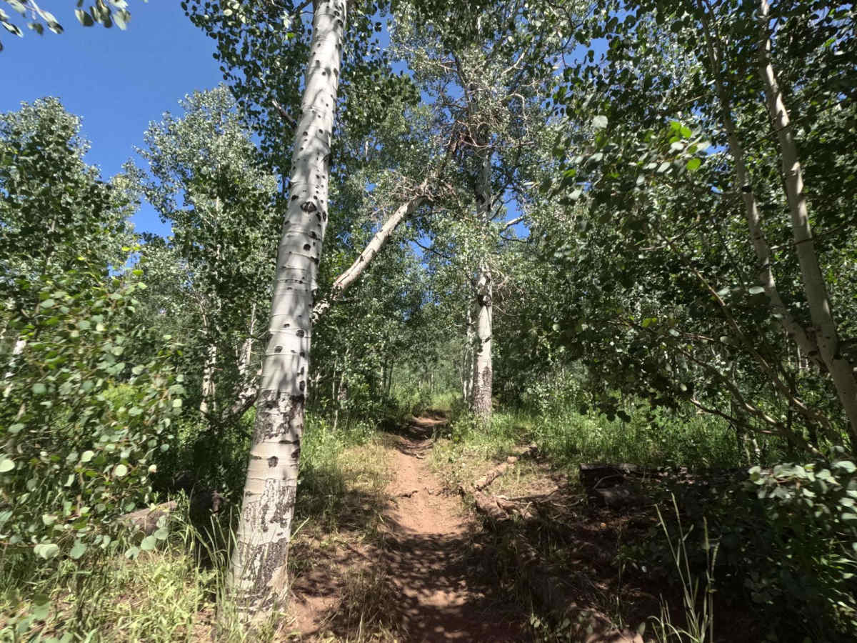 Jones Ranch South - FS 8123 photo 6