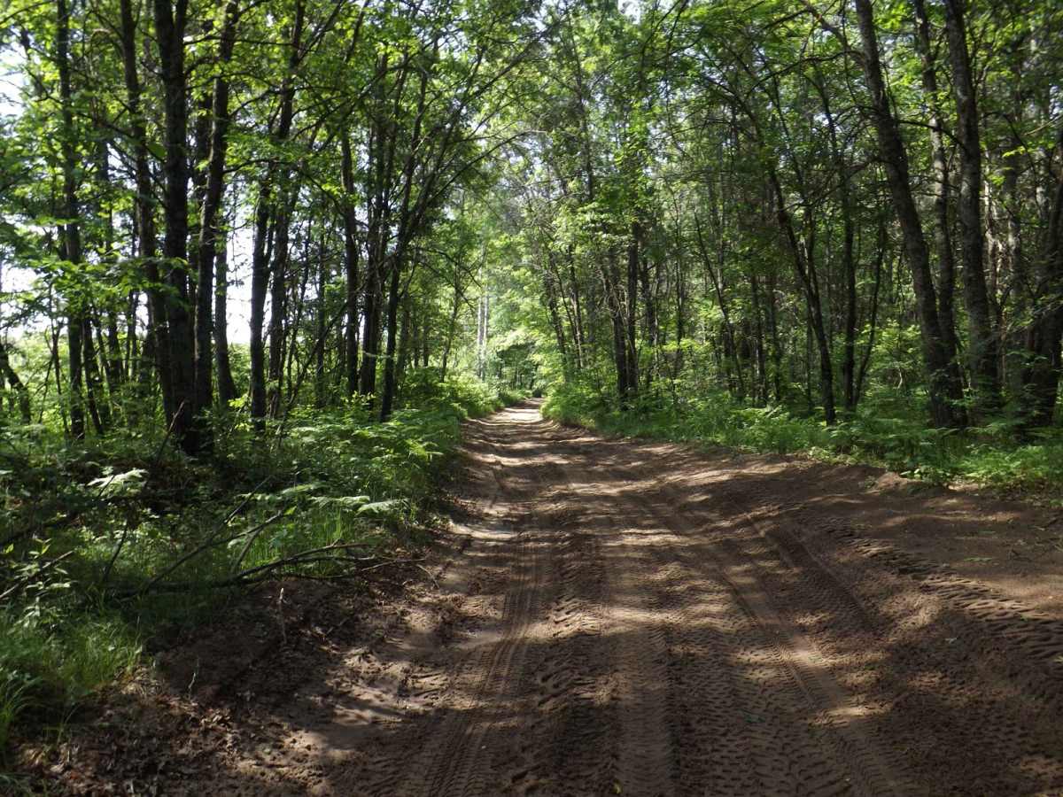 Floodwood Swamp Reservoir photo 6