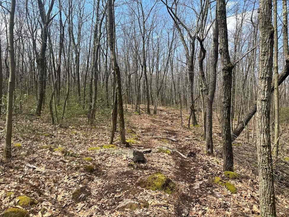 Ashland 178 photo 2