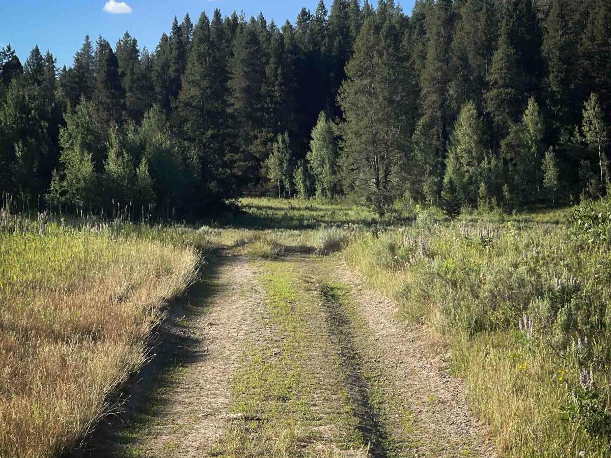 Johnson Creek #5124  photo 3