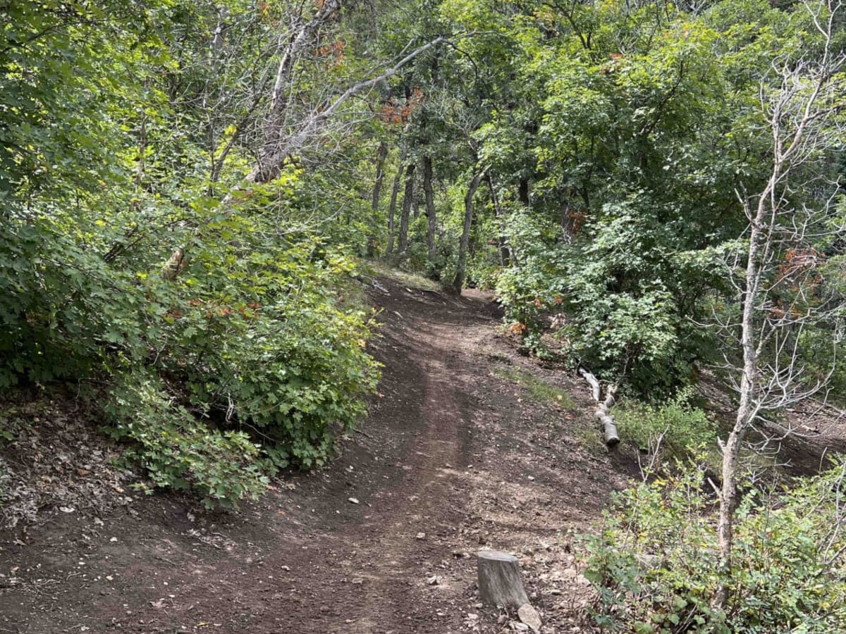 Kirkman Hollow (8012) photo 4