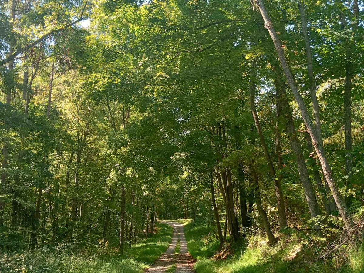 Hunterdon Road photo 3