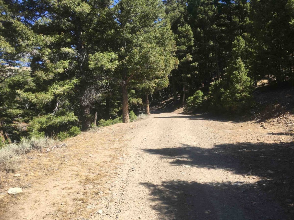 Reese Creek Trail photo 3