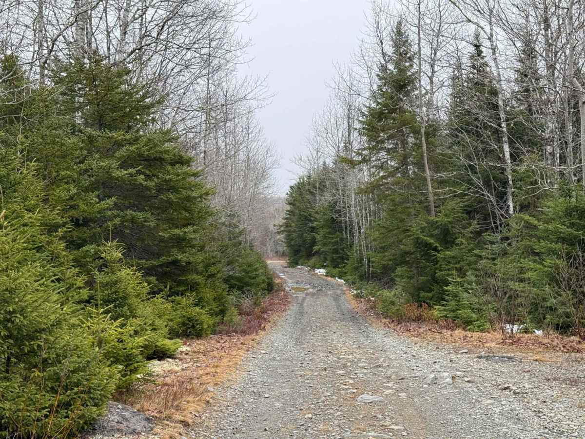 Kavanough Road photo 3