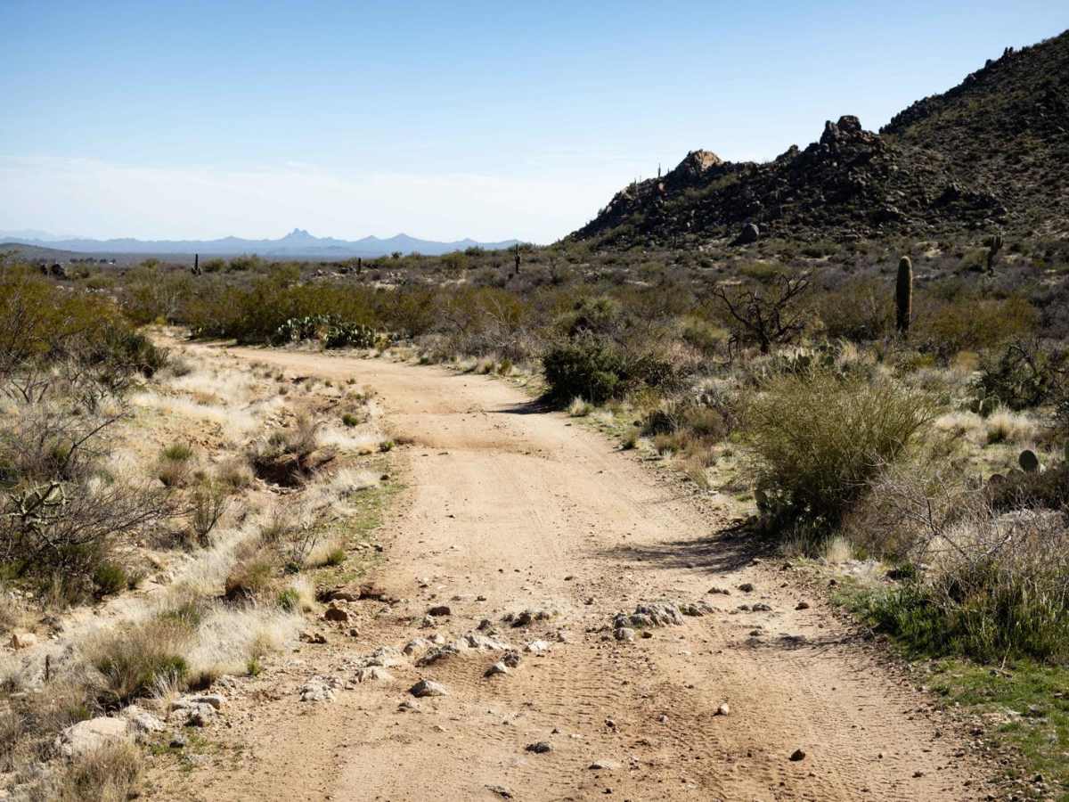 Echo Wash photo 6