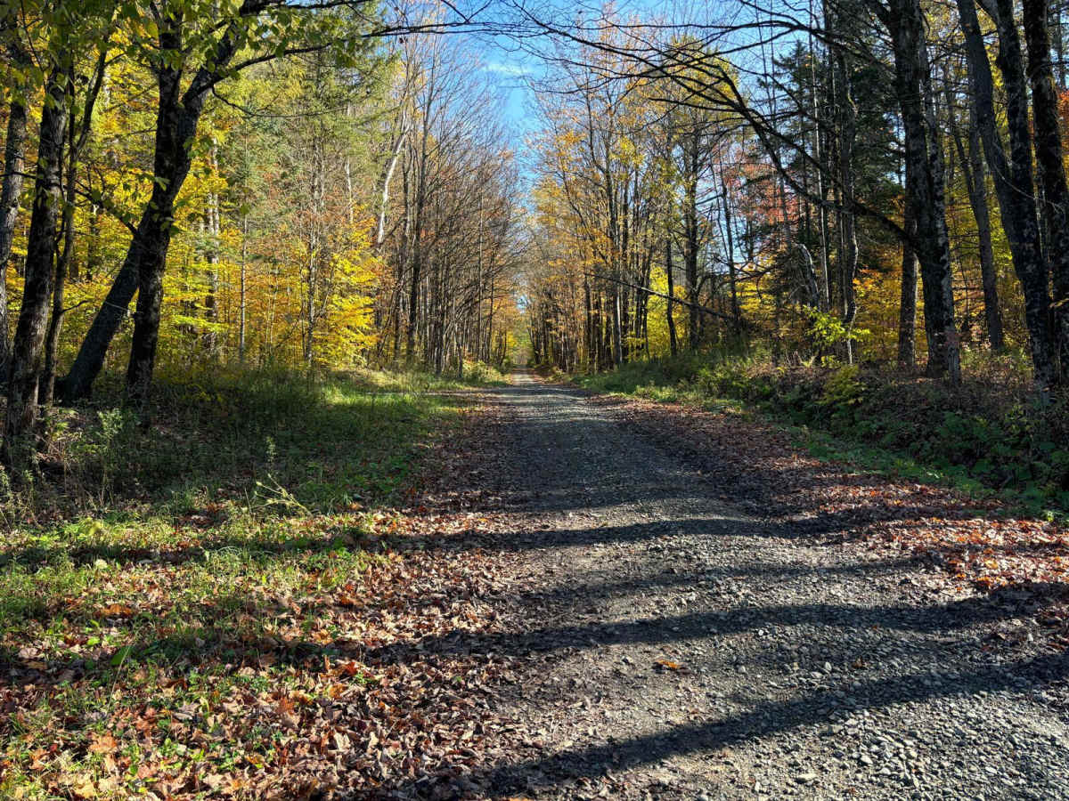 Jipson Hill PFAR trail photo