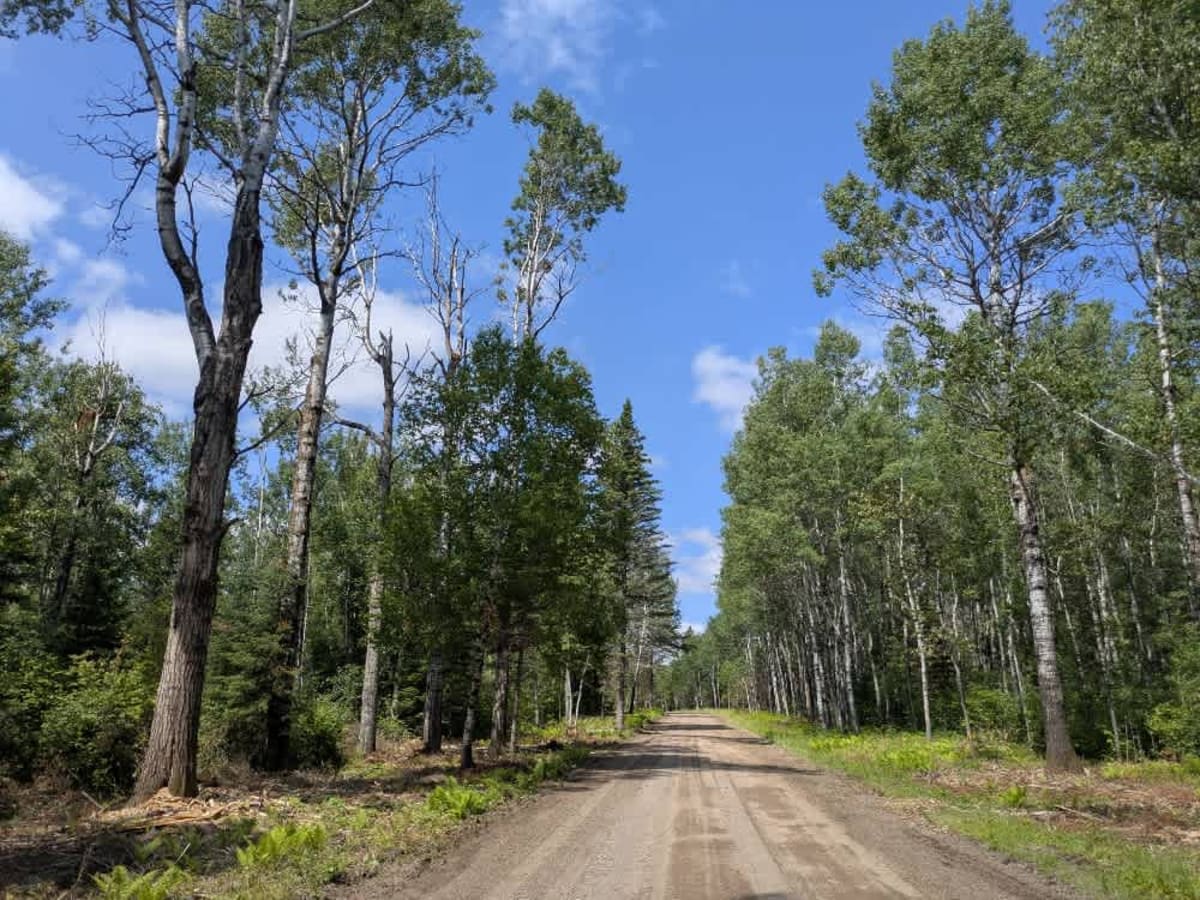 Cadotte Lake trail photo