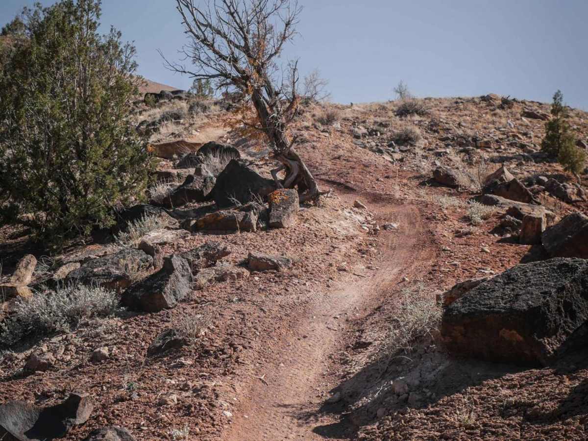 Coyote Ridge photo 3