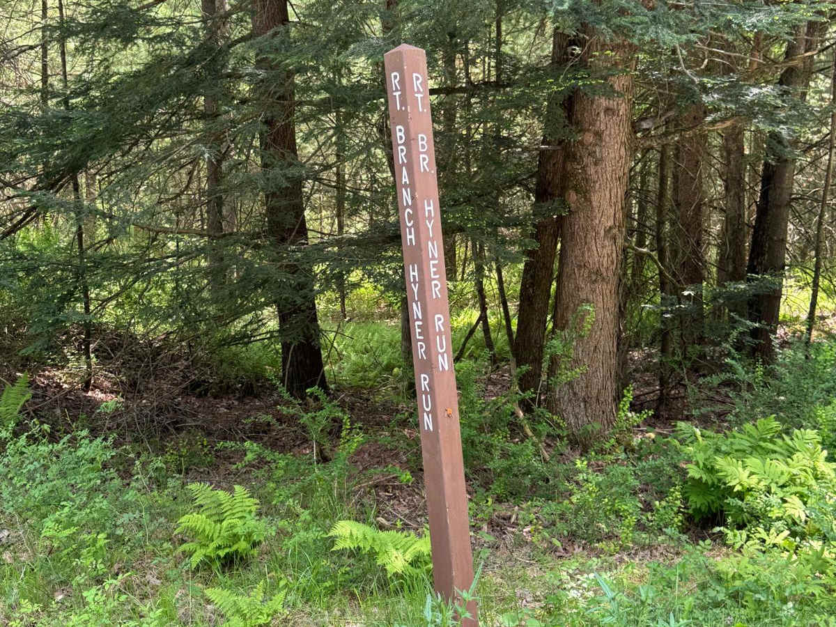 Right Branch Hyner Run Road trail photo