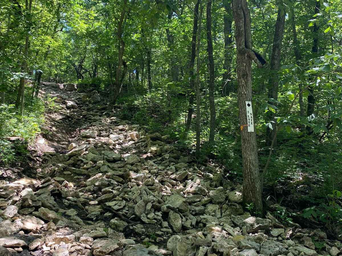 2 Late Nate trail photo