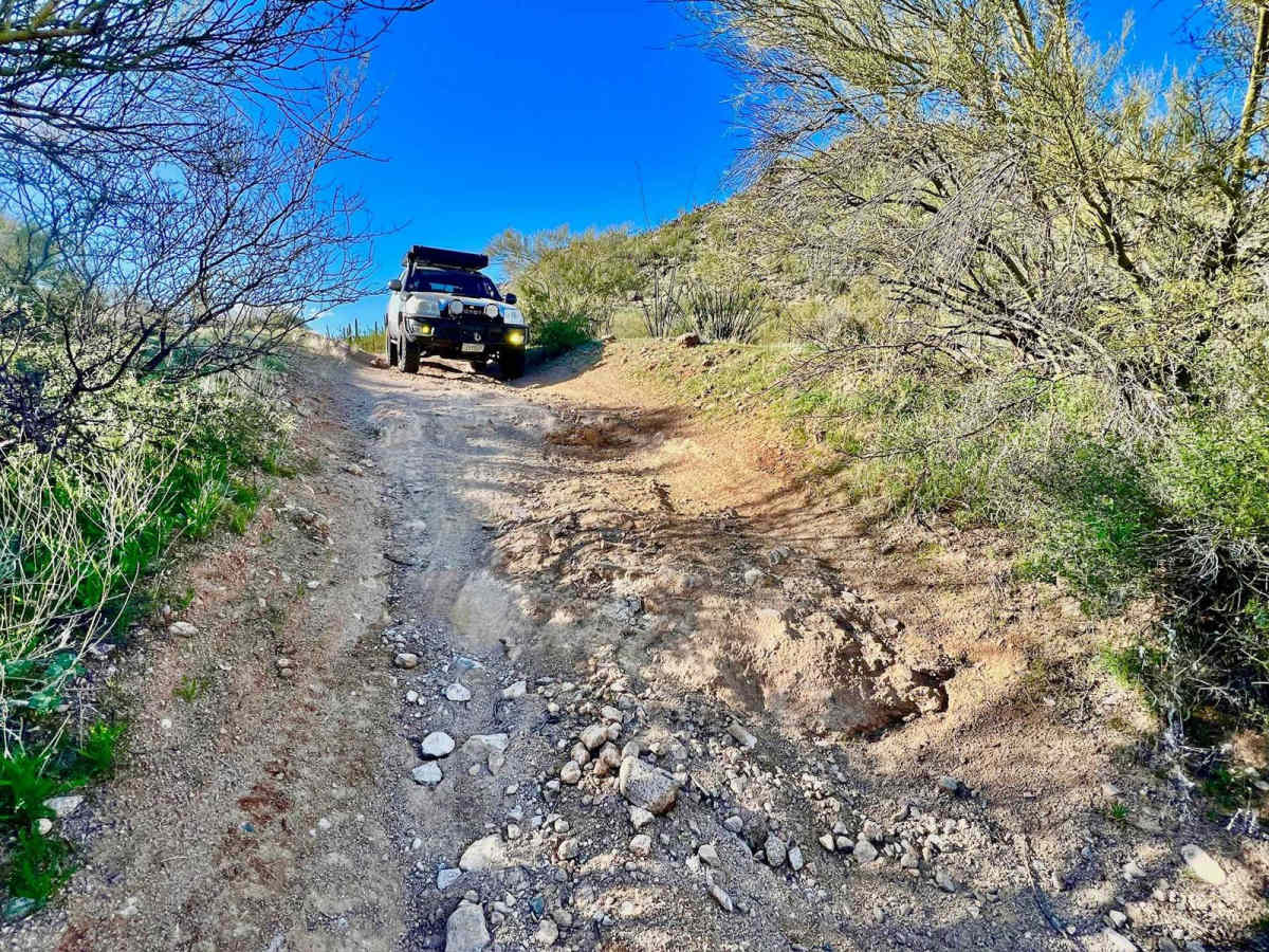 Brahma Tank Pass photo 3