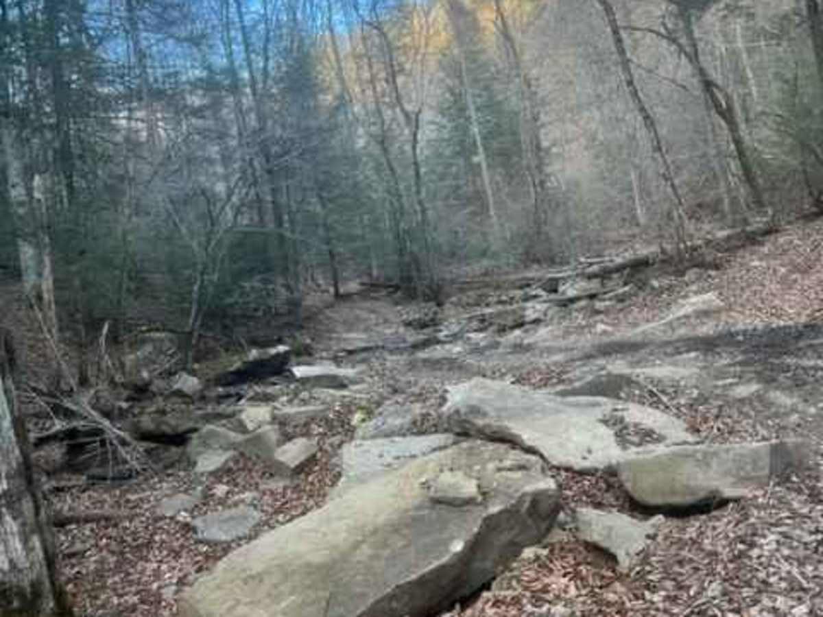 Coalmont Trail 2 Blue photo 6