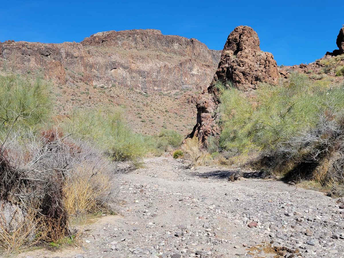 Cottonwood Canyon photo 5