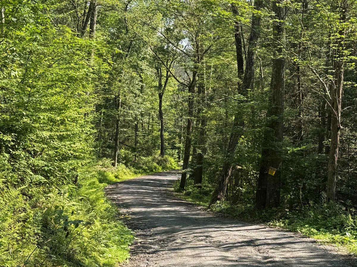 Cutler Road photo 5