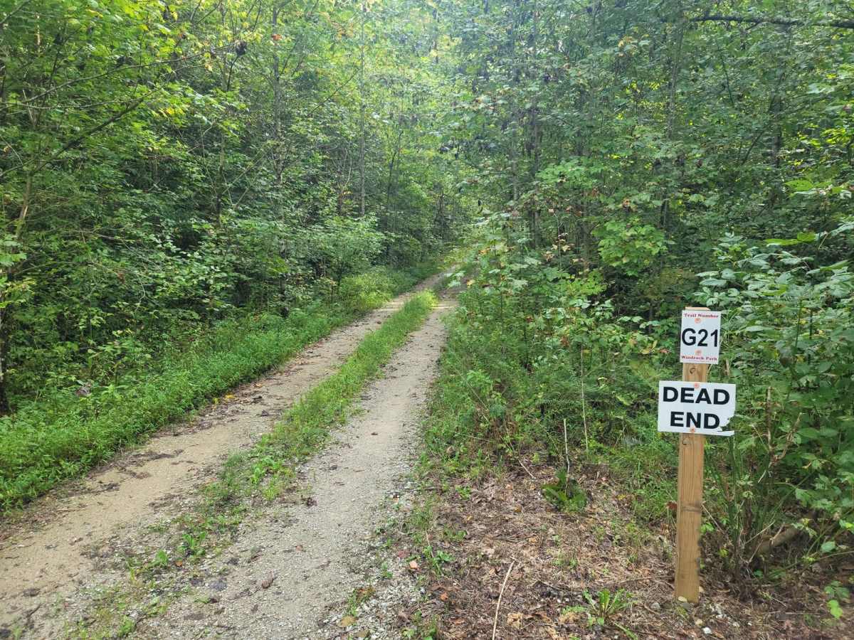 G21 - Skinned Ash Creek photo 2