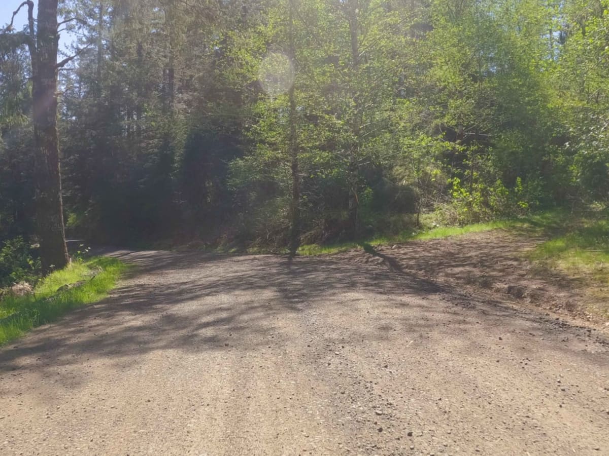 Cedar Butte Road photo 5