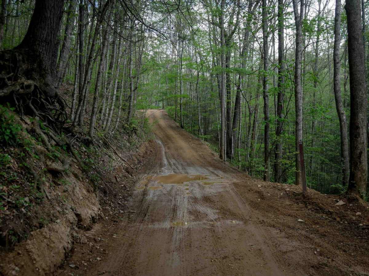 PC 23 trail photo