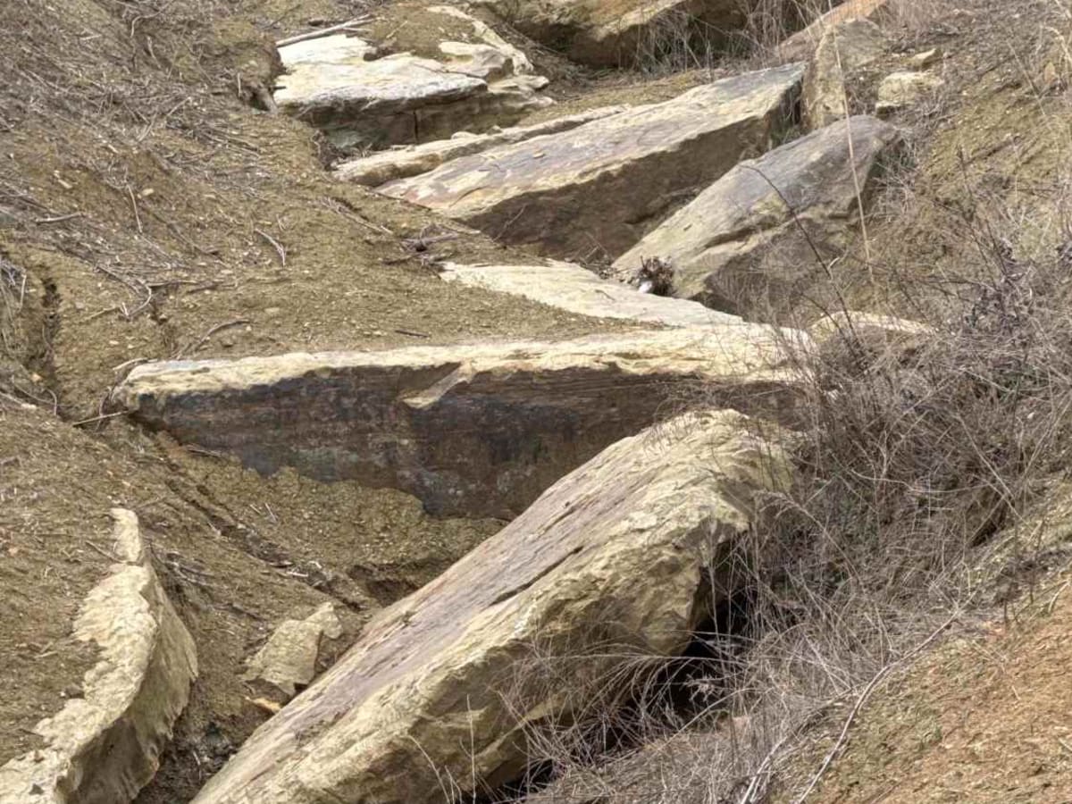 #74 Upper Ditch photo 3
