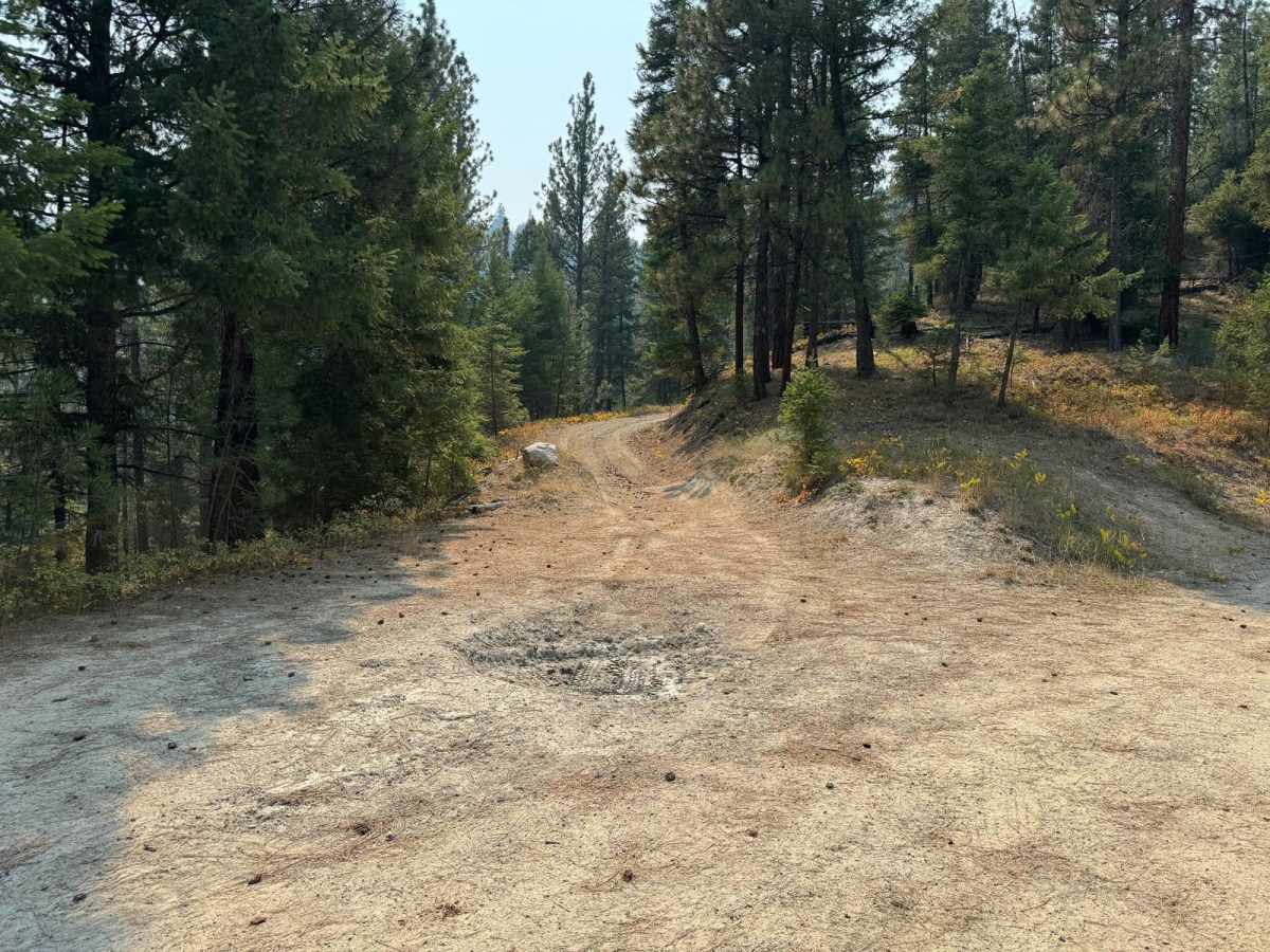 Burnt Ridge trail photo