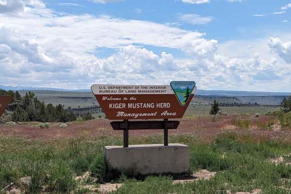 Kiger Mustang Viewing Area Road