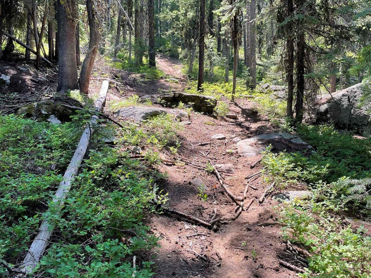 Morgan Lake photo 4