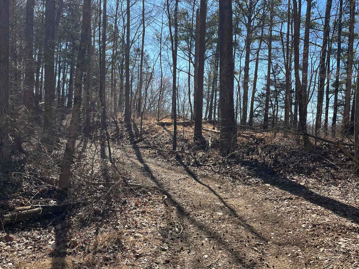 Amax Trail photo 4