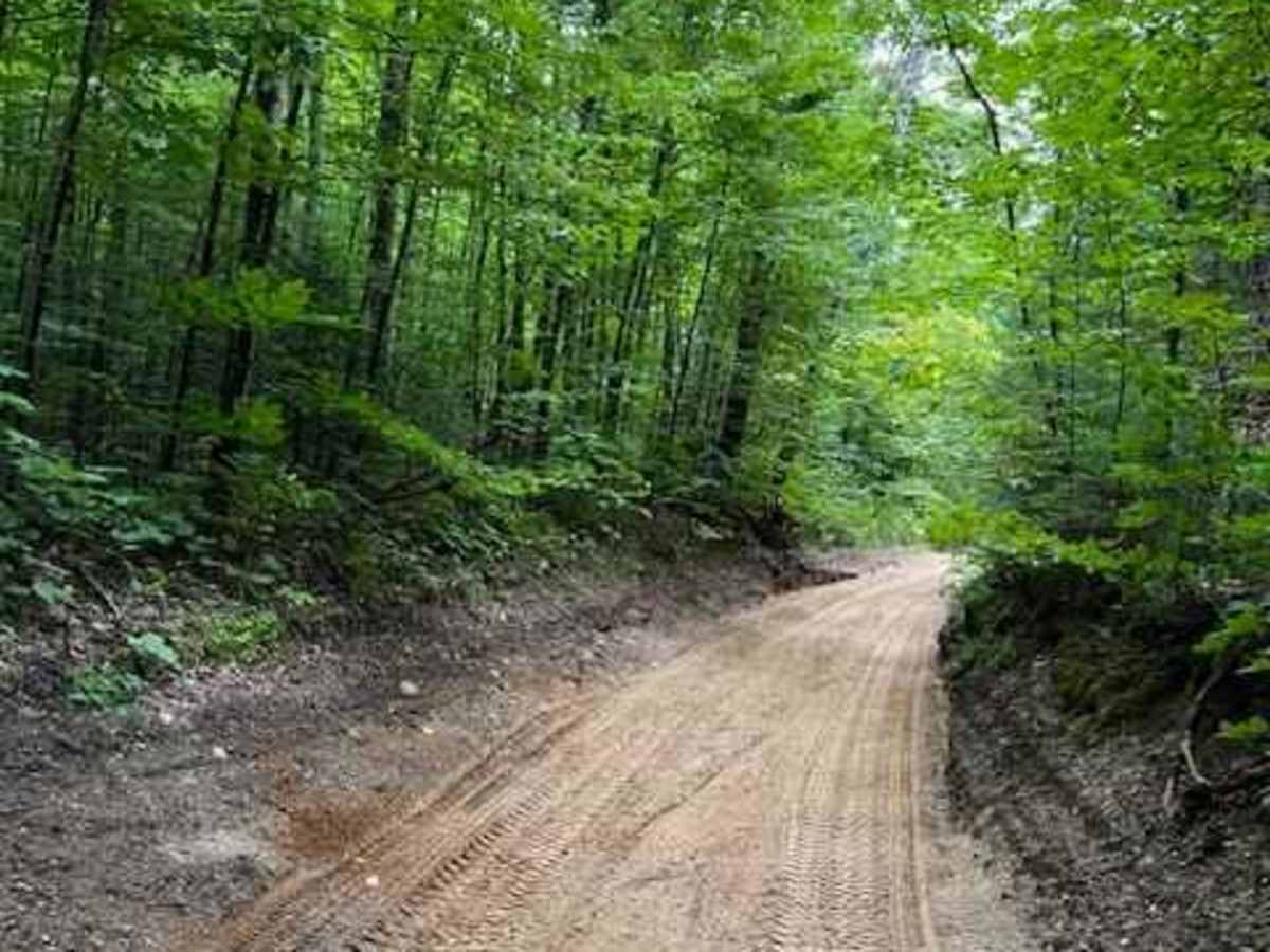 Wilderness Road photo 4