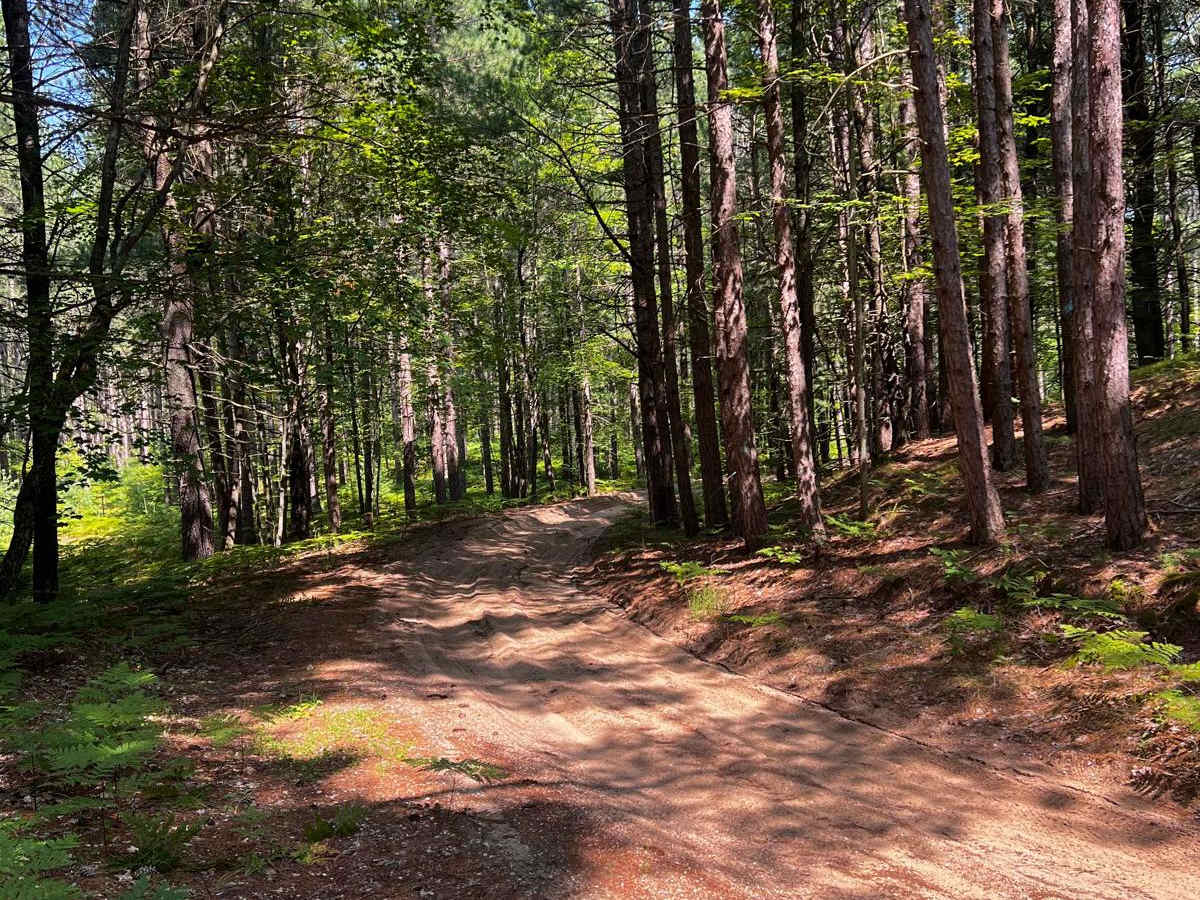 25 1/4 Trail photo 6