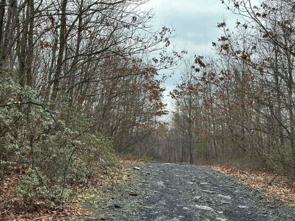 Locust Gap 76 trail photo