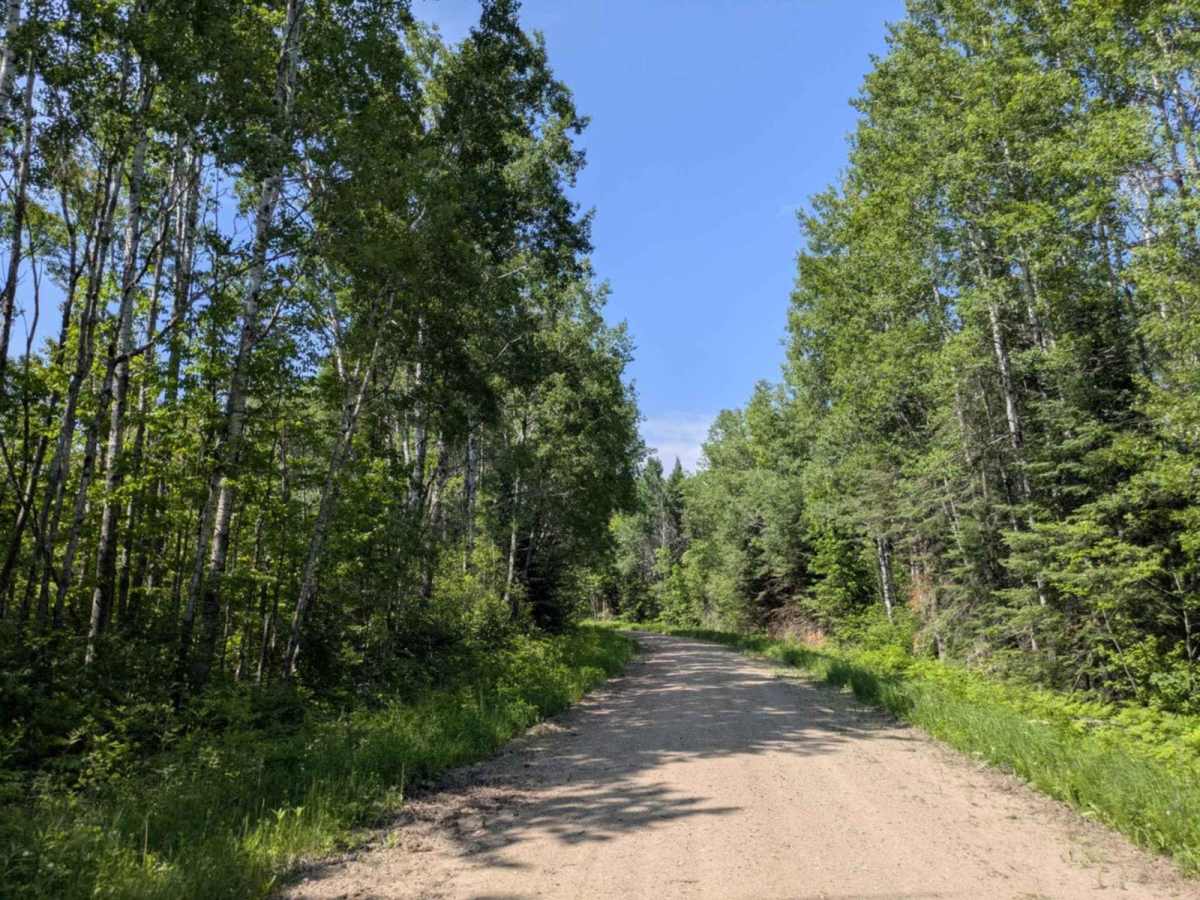 FS 2207 trail photo